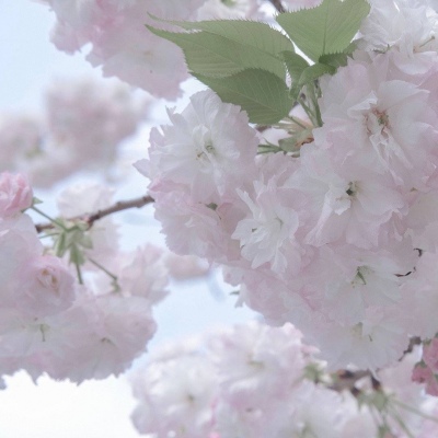 兽设沙漠场景绘制兽圈社群